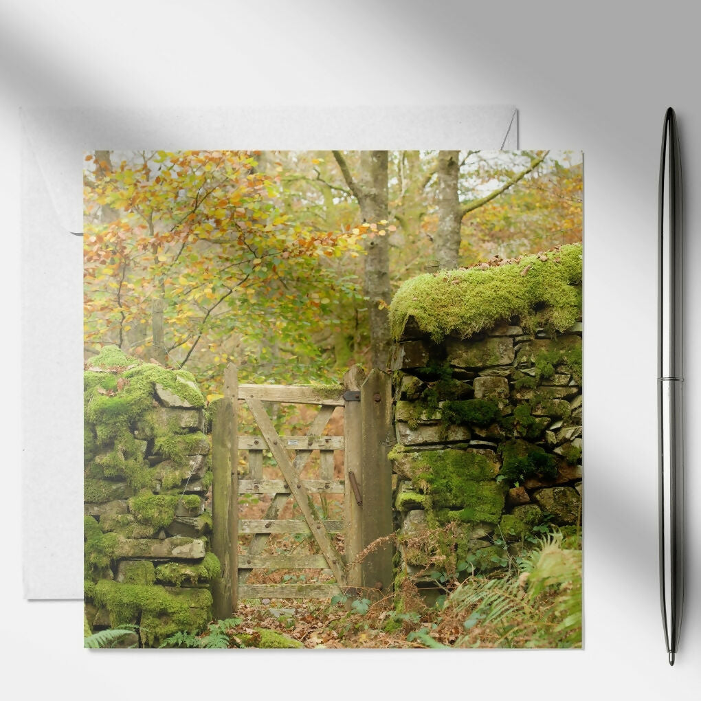 art and soul pictures (3)
