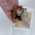 Fairy Laid Sleeping Inside A Leaf