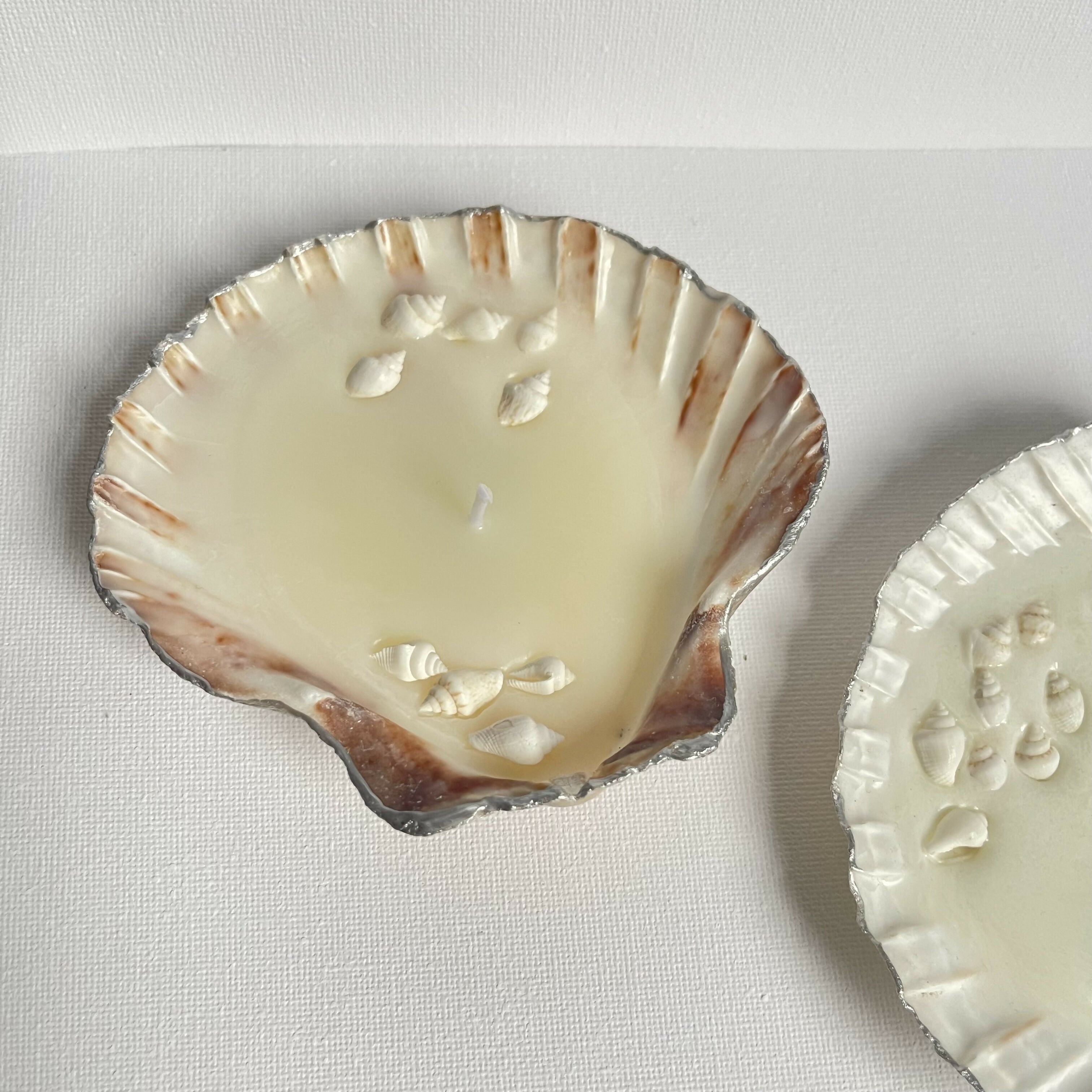 Scallop Shell Candle