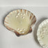 Scallop Shell Candle