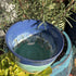 Blue and Turquoise