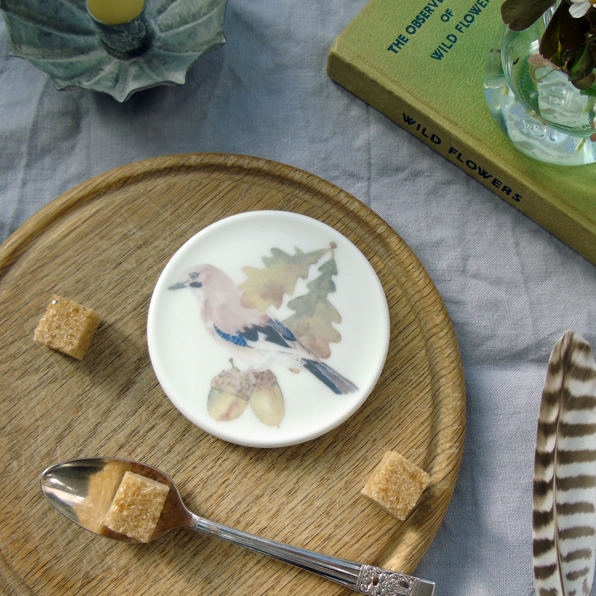 Jay and Acorn Coaster