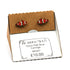 Clown Fish Stud Earrings