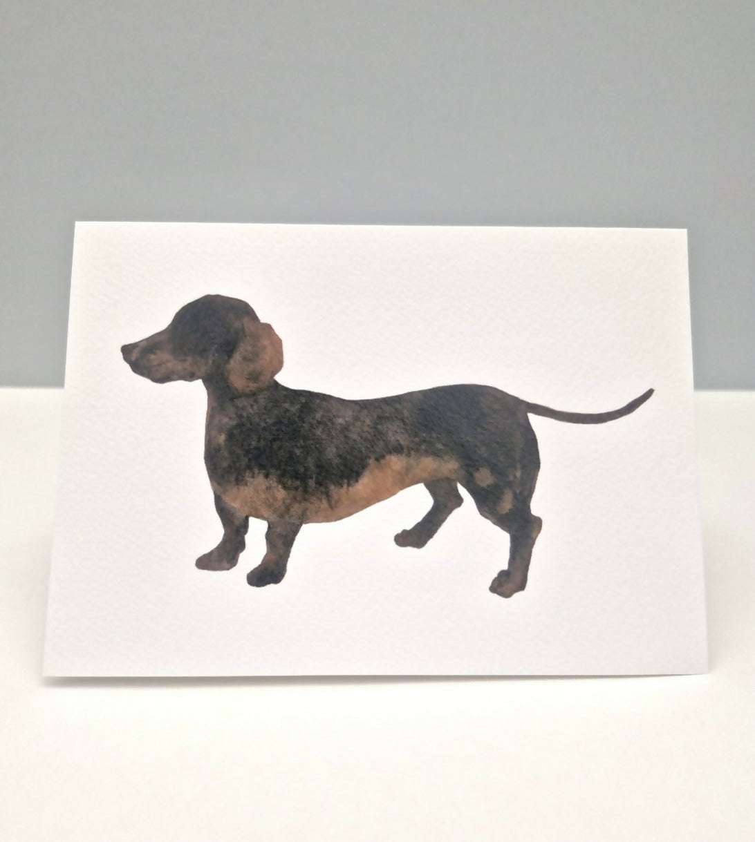 Dachshund Greeting Card