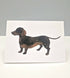 Dachshund Greeting Card