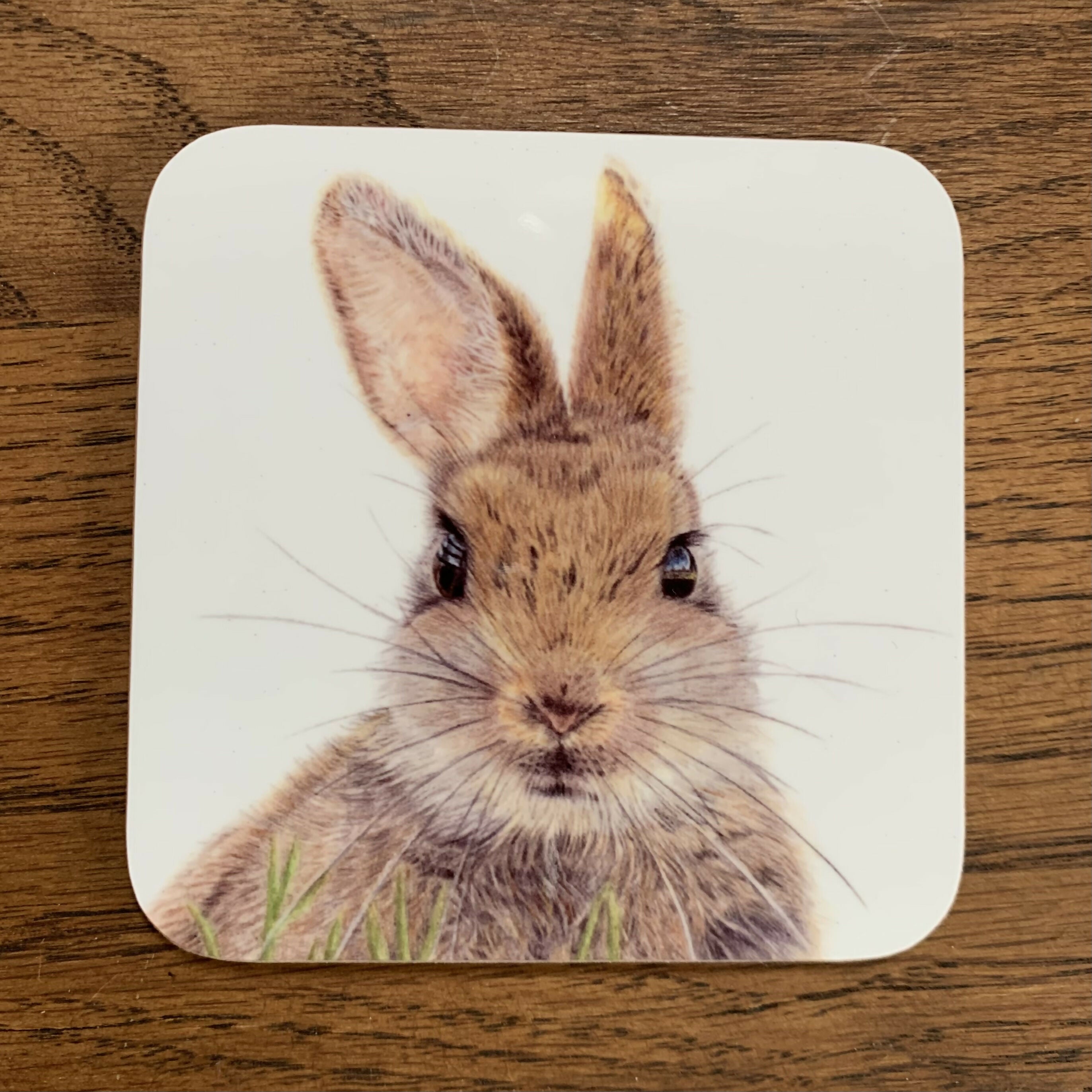 Hare Coaster
