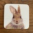 Hare Coaster