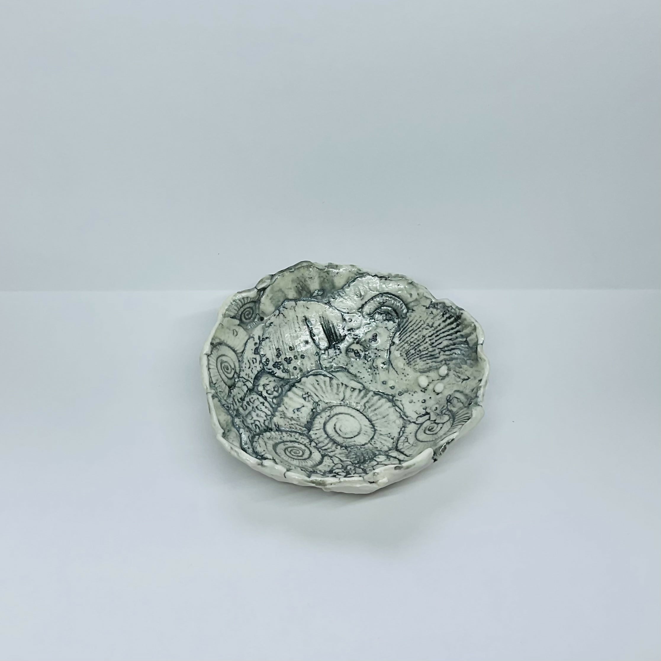 Fossil Dish
