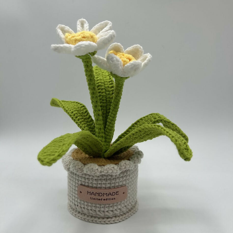 Crochet Daffodil In Scallop Edge Pot