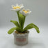 Crochet Daffodil In Scallop Edge Pot