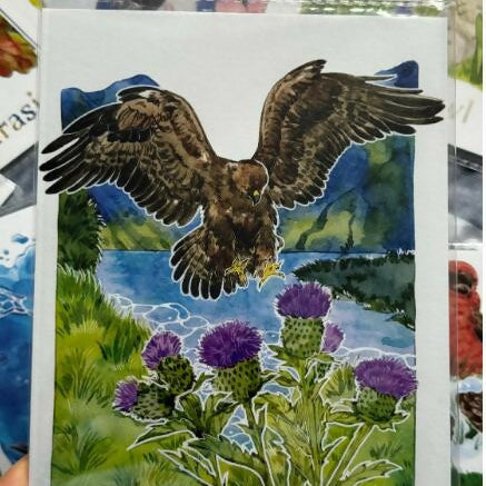 A5 Wild birds Prints