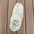 Botanical ceramic shard