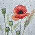 'Corn Poppy' Original Mixed Media Painting