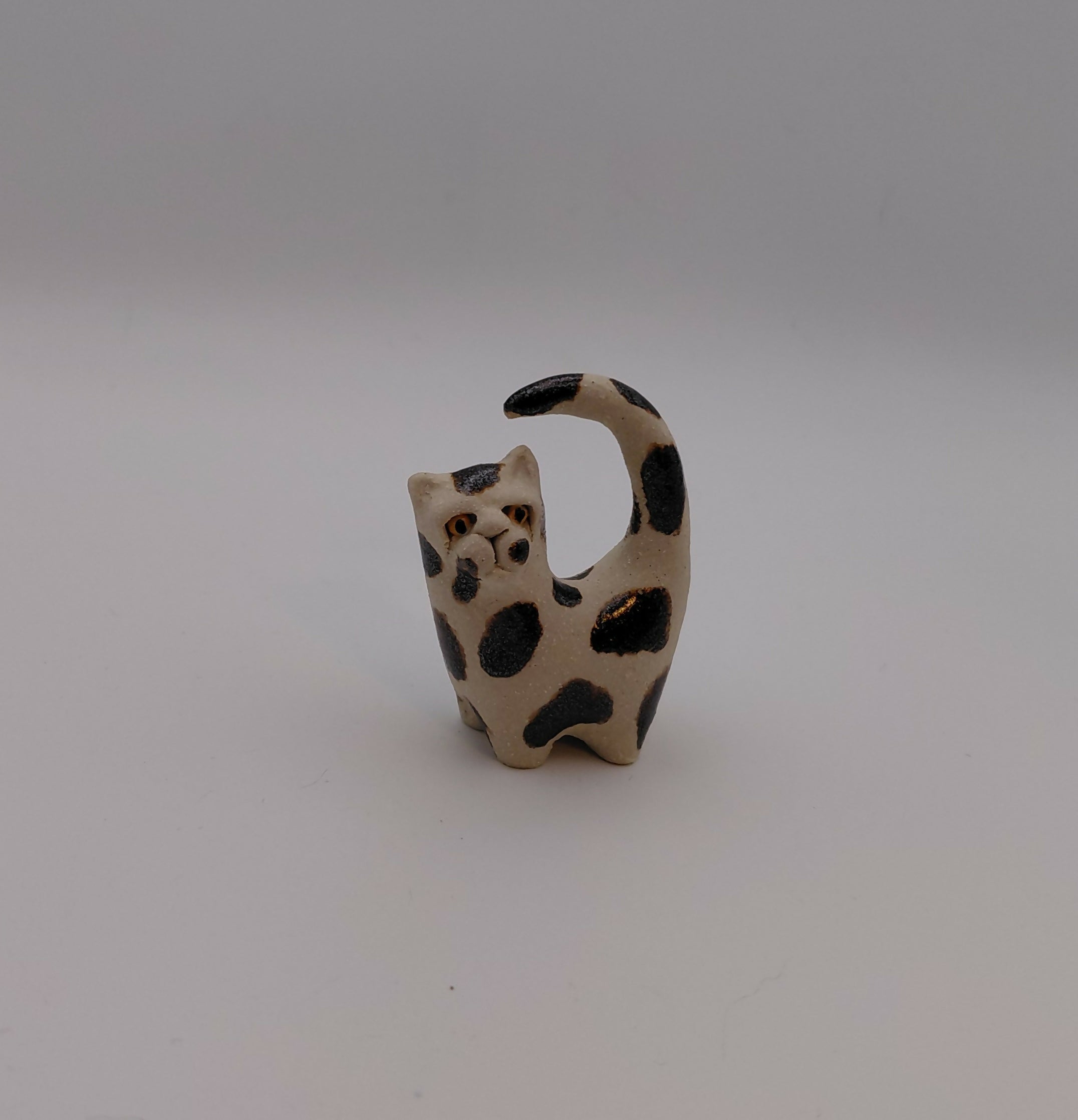 Pebbldot Cat