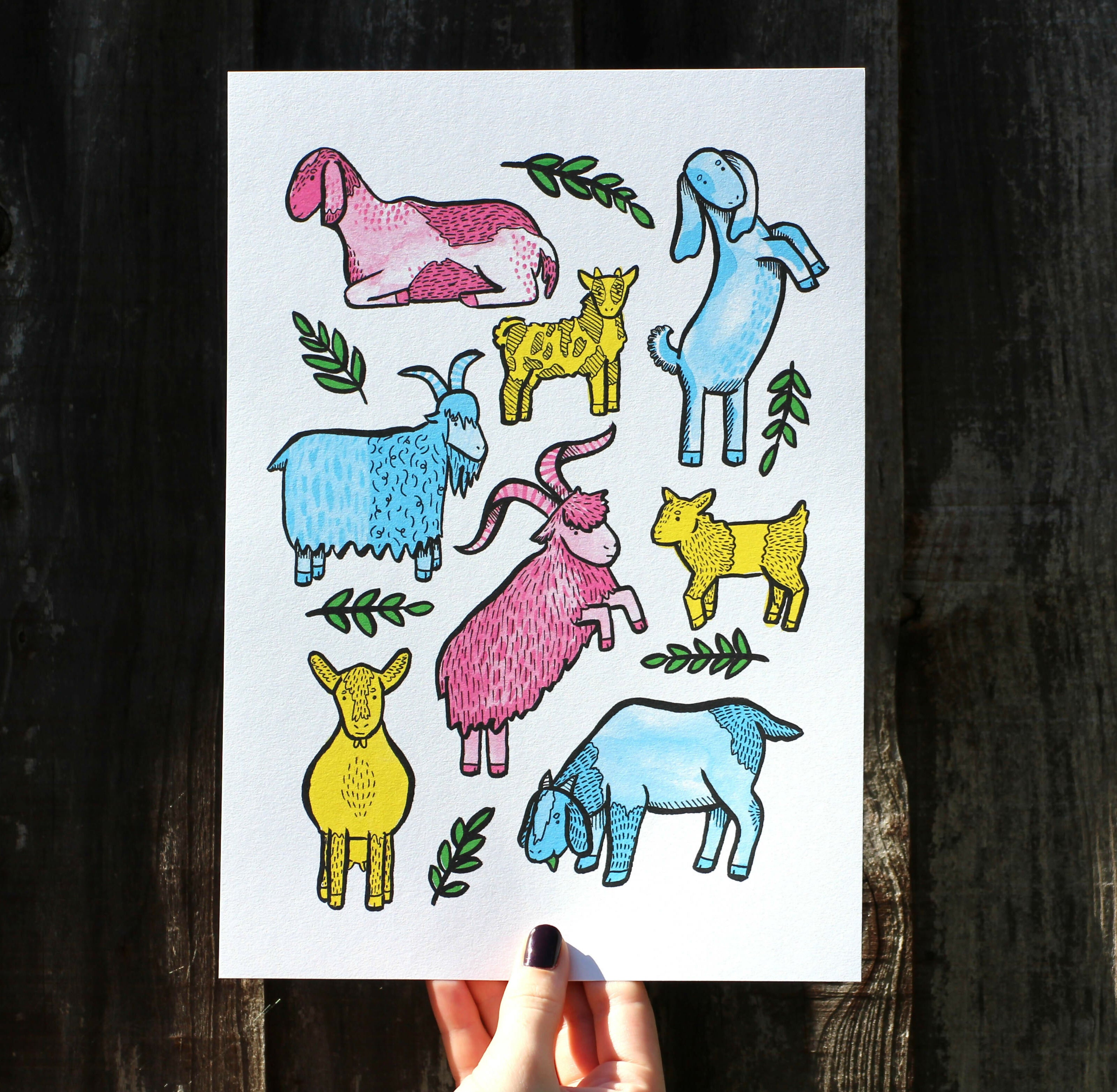Goat Collection A4 Print