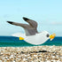 Seagull Hair Clip / Claw