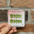 Green Grape Cateye - Handmade Press On Nails