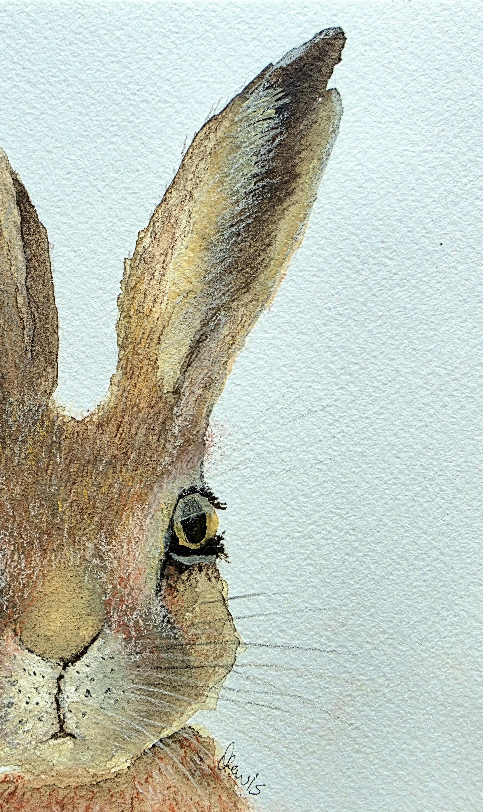 'Curious Hare' - Framed Original Mixed Media Painting