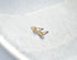 14 Karat Gold Filled Dots Stud Earrings