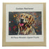Golden Retriever Jigsaw Puzzle