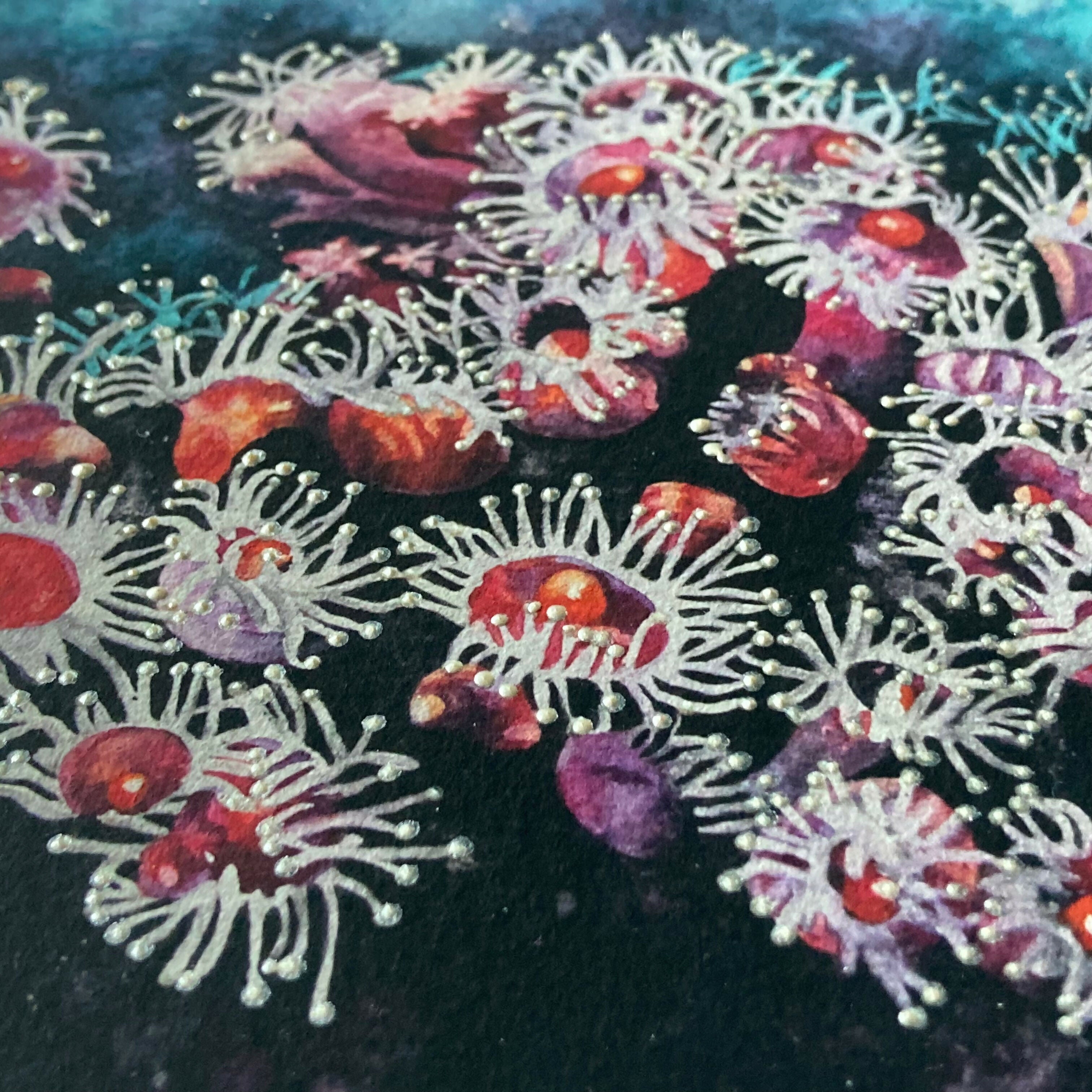 Jewel Anemones - Original Painting