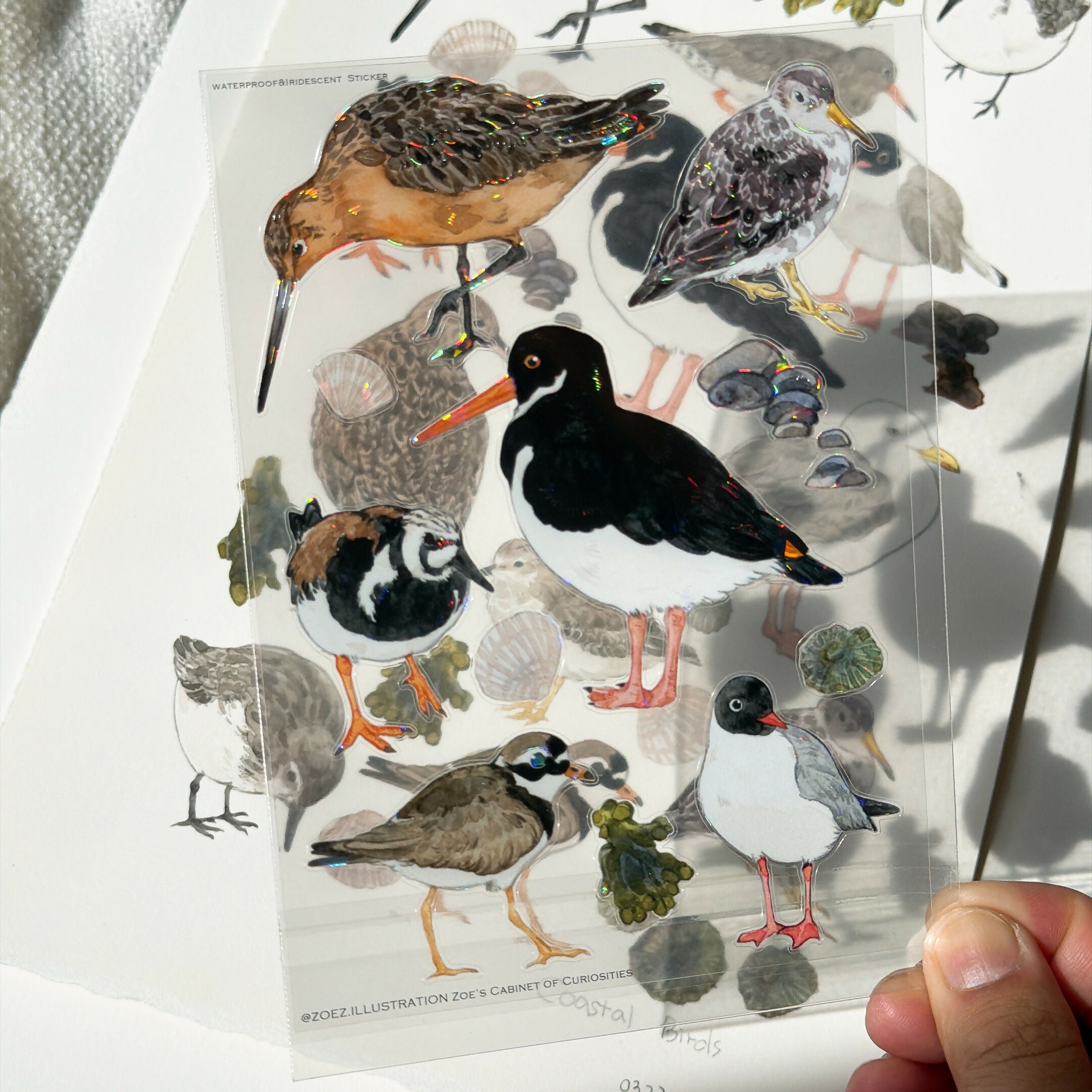 A6 transparent waterproof iridescent wildlife sticker sheet
