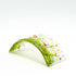 Spring Daisy NMW