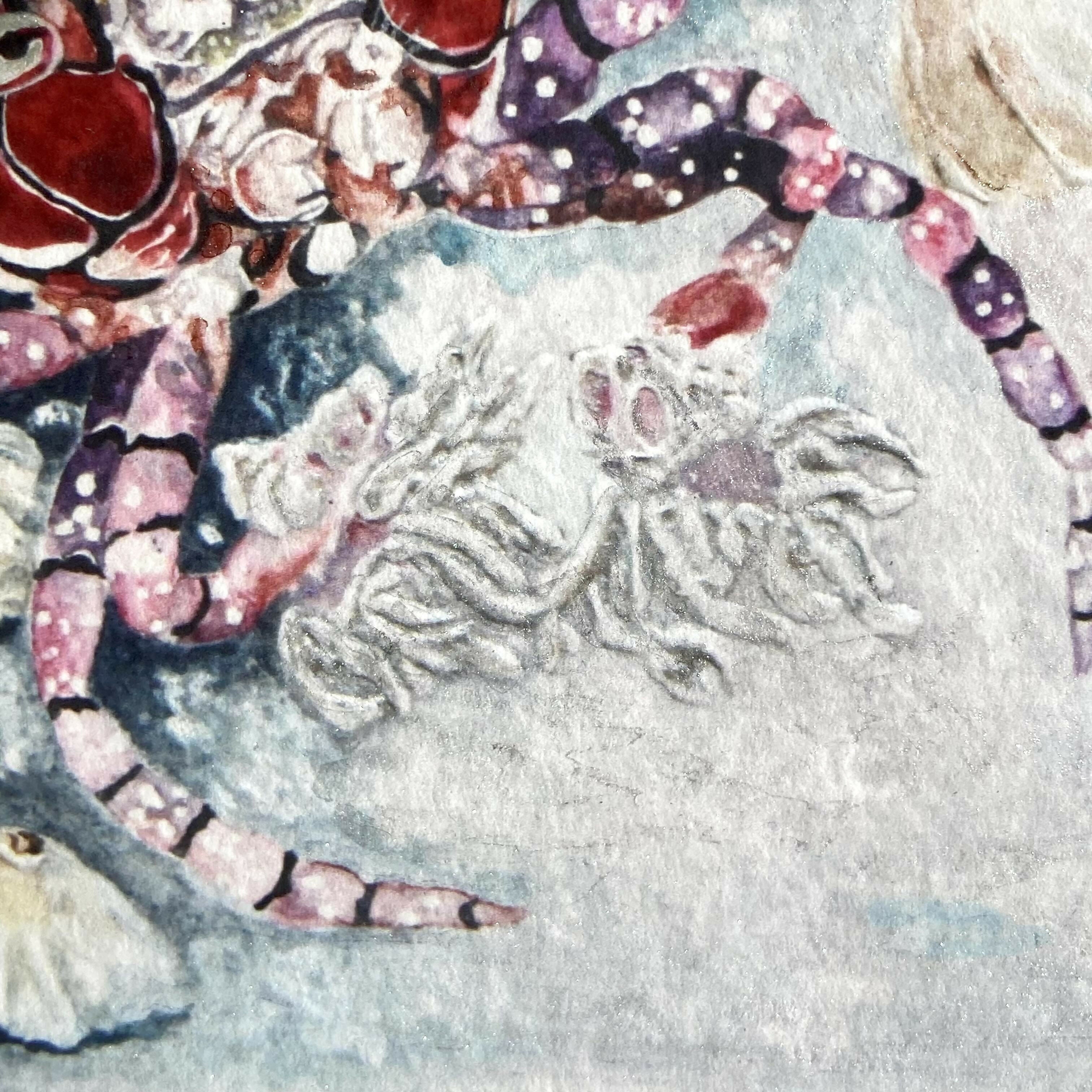 Boxer Crab - Print