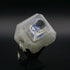 Keycap Fidgets - Single