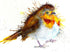 FINE ART PRINT OF ELVIS THE ROBIN, PART OF THE 'ANIMAL ART COLLECTION'