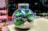 Large Carboy Light Up Terrarium