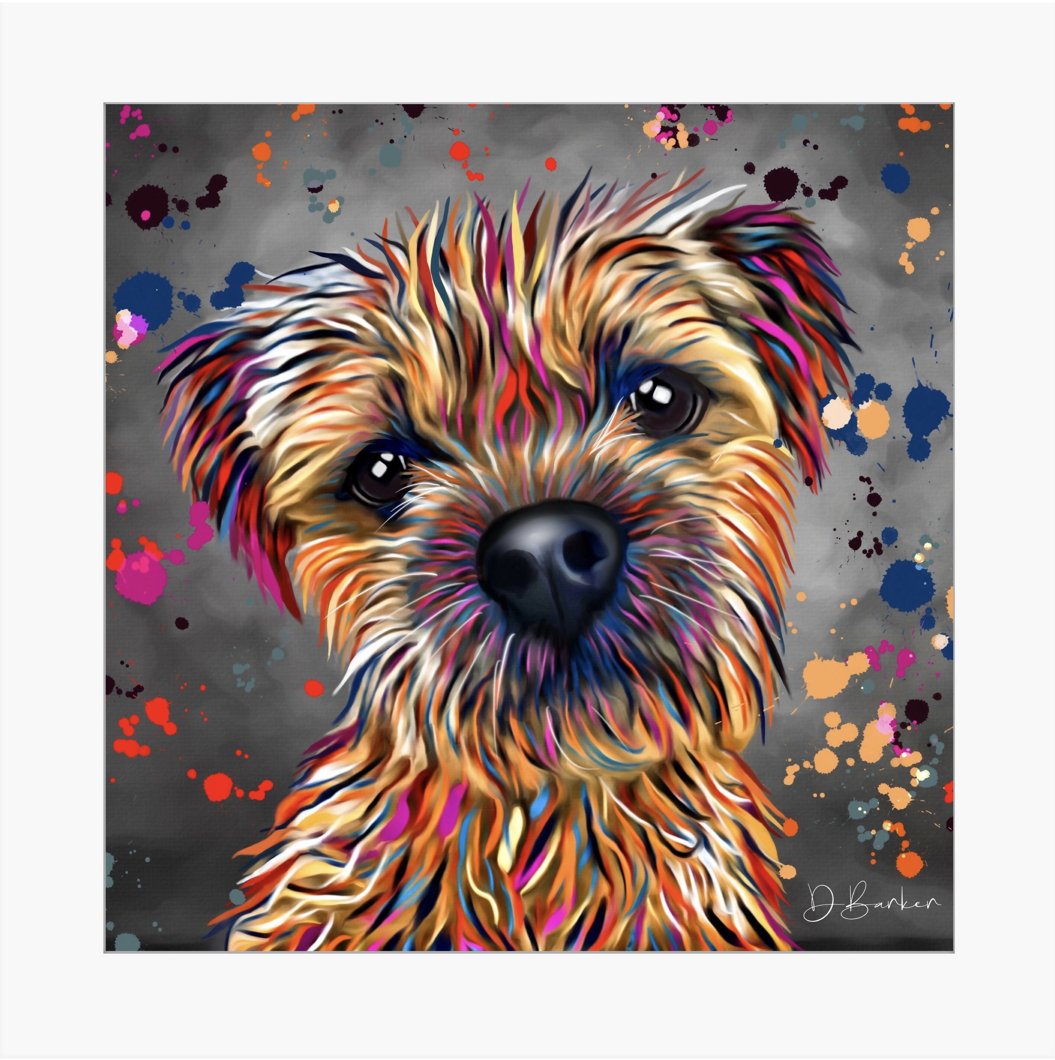 BORDER TERRIER DOG COLOUR SPLASH FRAMED ARTWORK.
