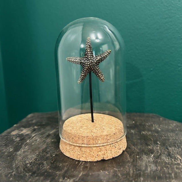 Lovely Glass Dome Featuring A Brass Starfish