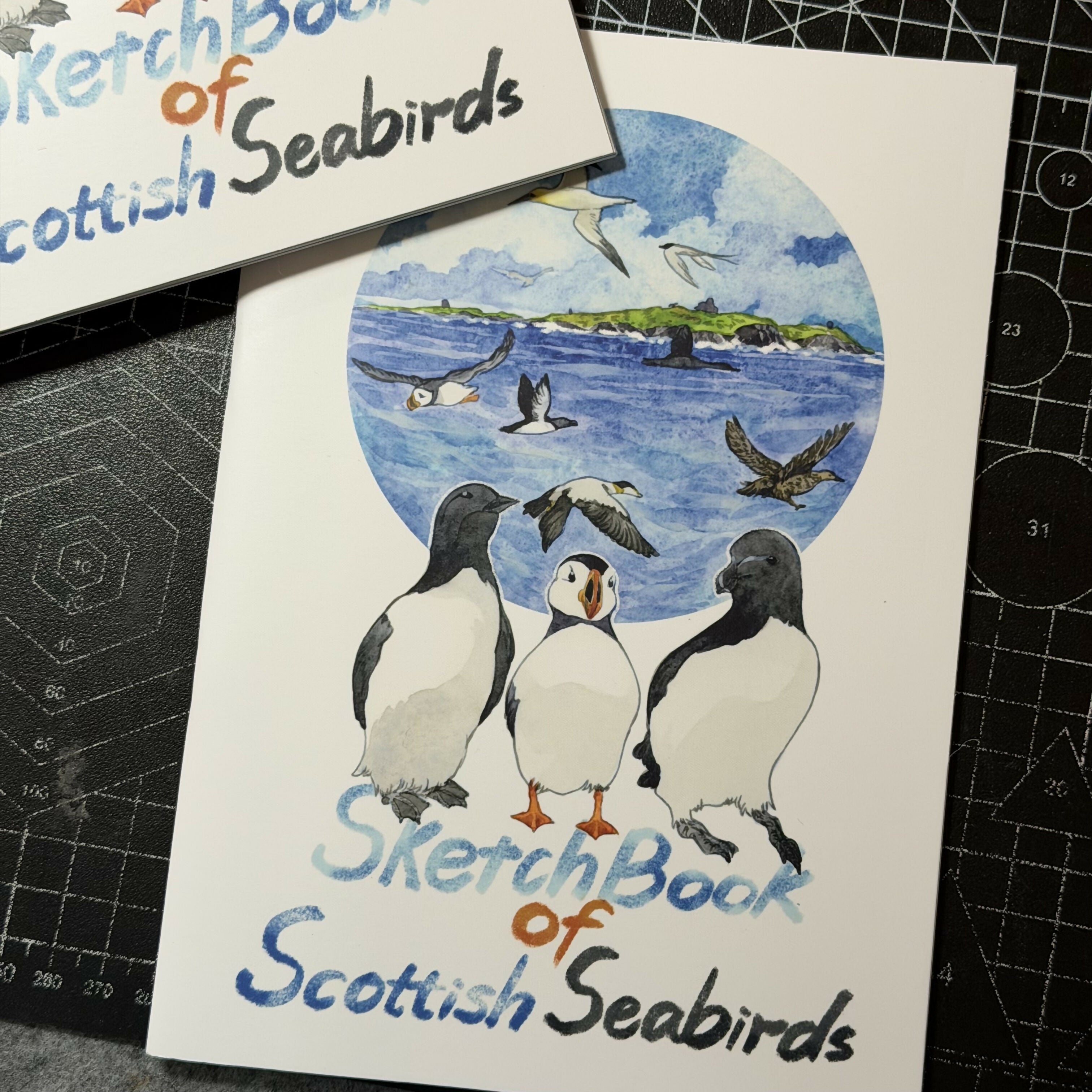 Scottish Seabirds Sketchbook