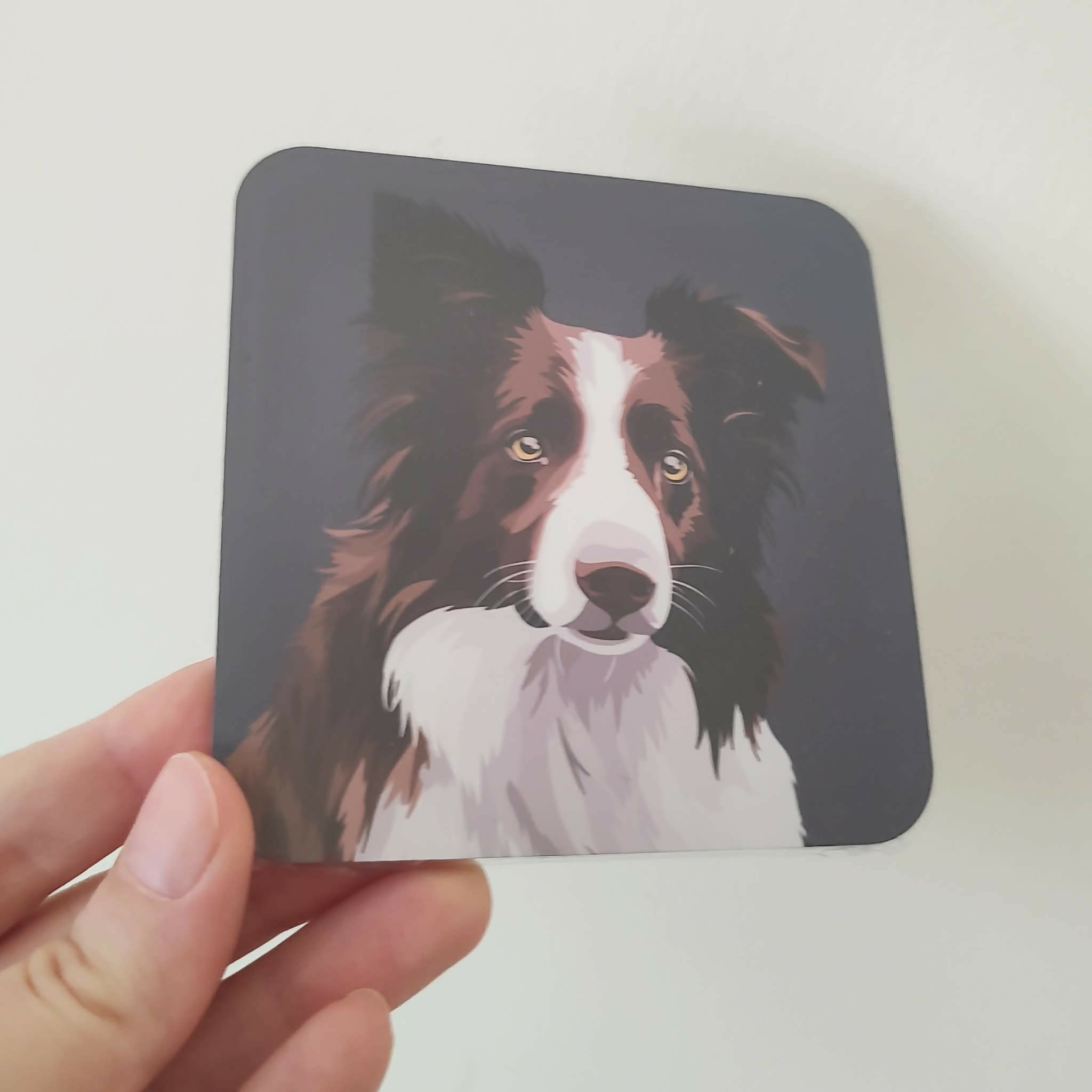 Collie Brown and White Sheep Dog Coaster
