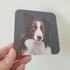 Collie Brown and White Sheep Dog Coaster