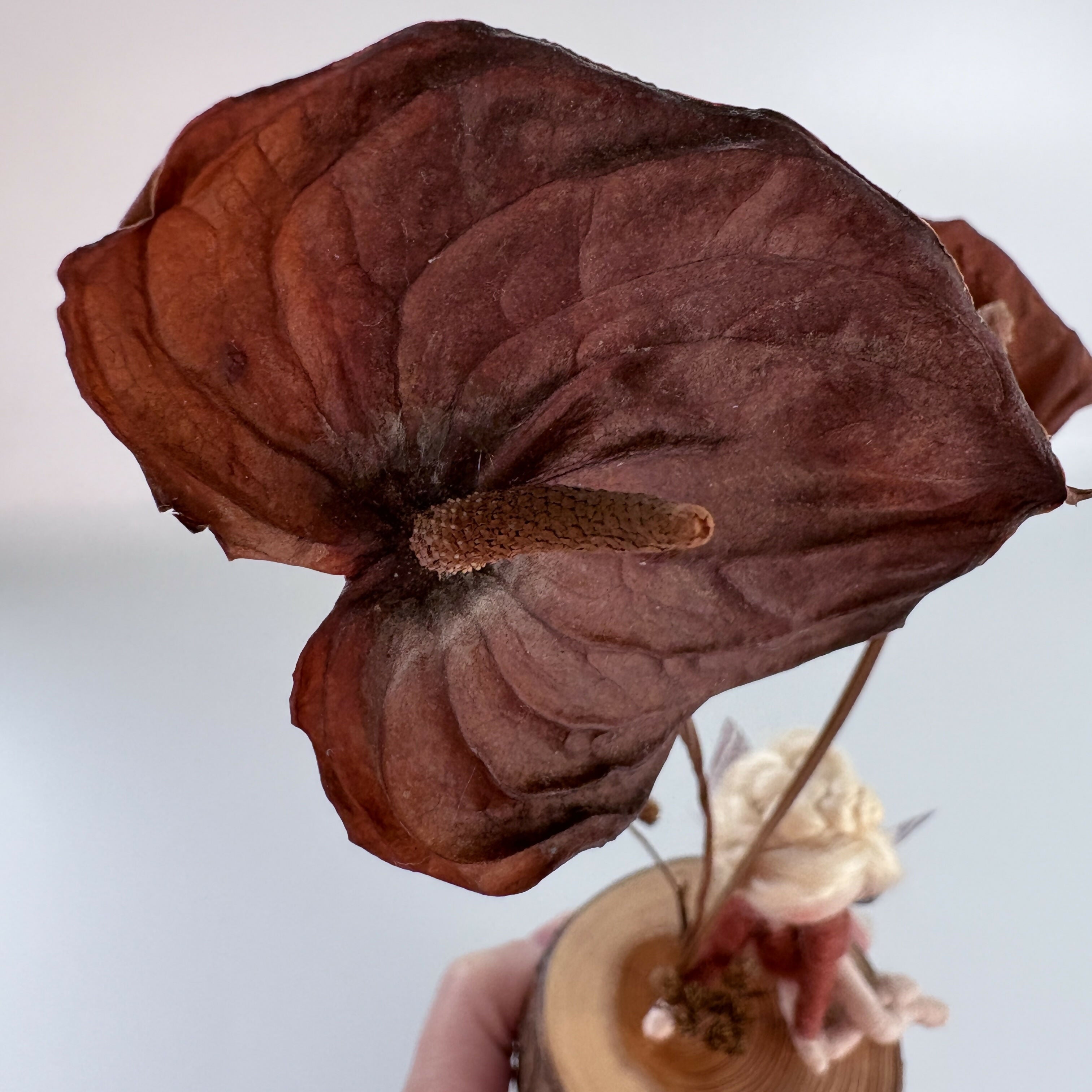 Autumnal Dried Flower Piece