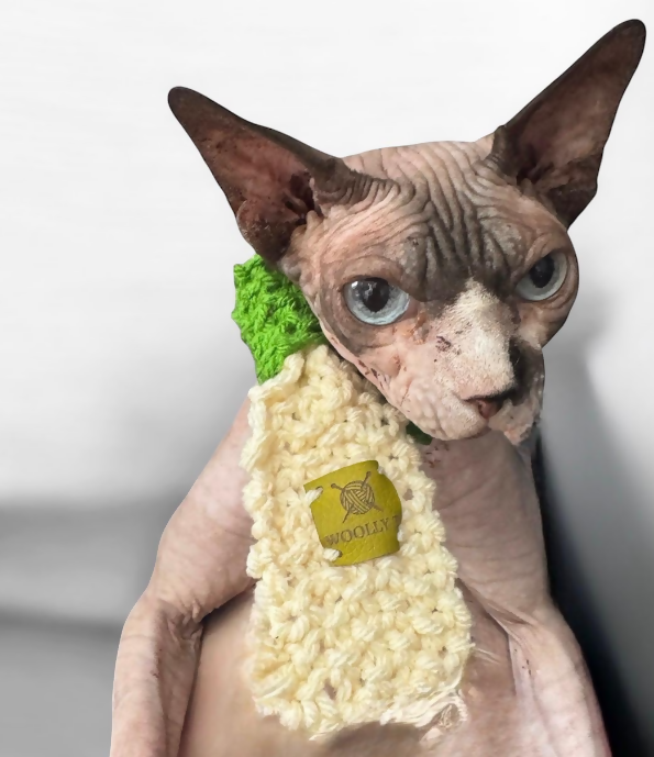 PET SCARF, STRETCHY, 2-COLOUR COSY (CREAM & GREEN)