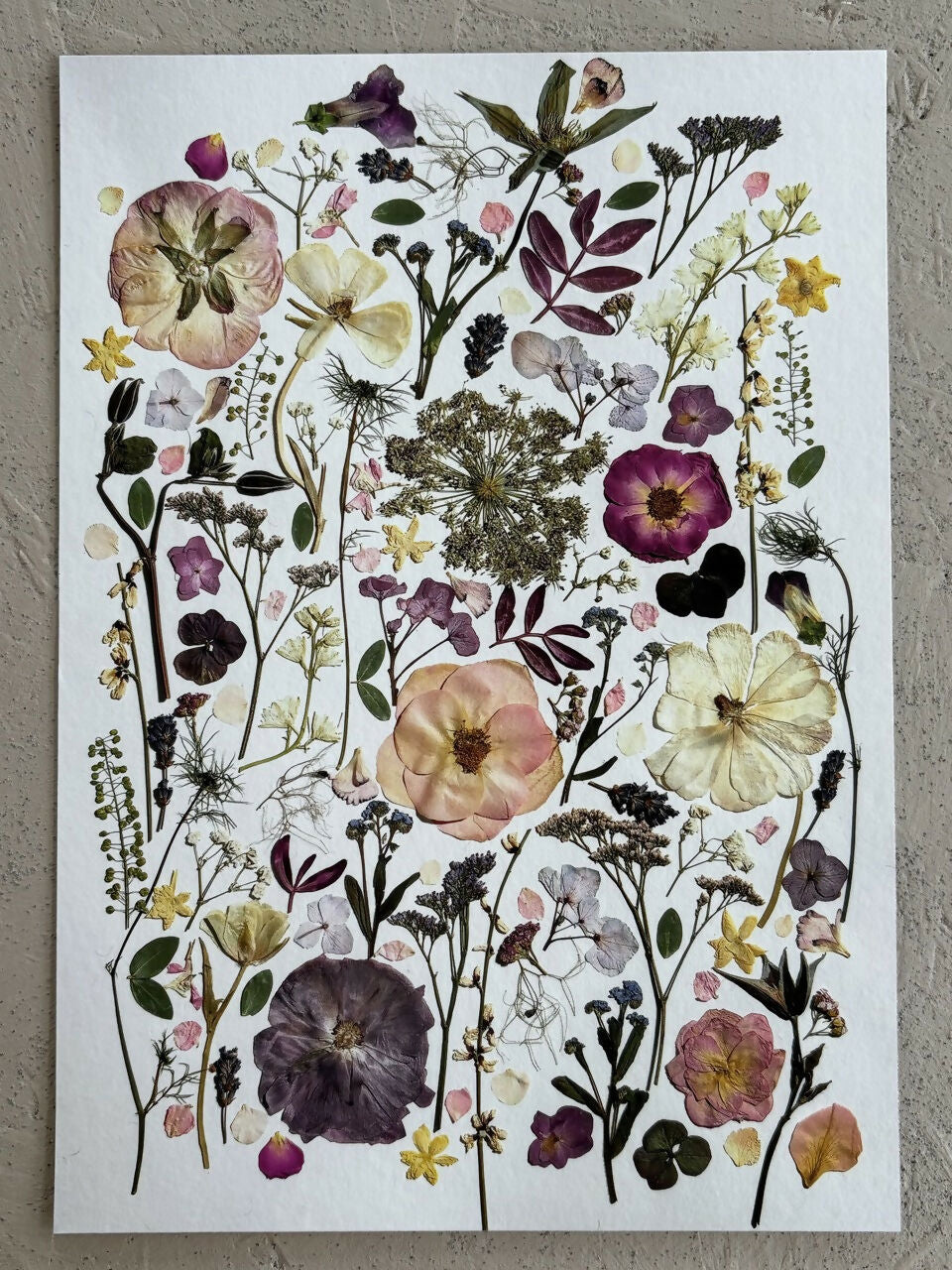 Pink & Purple Giclee Print A5