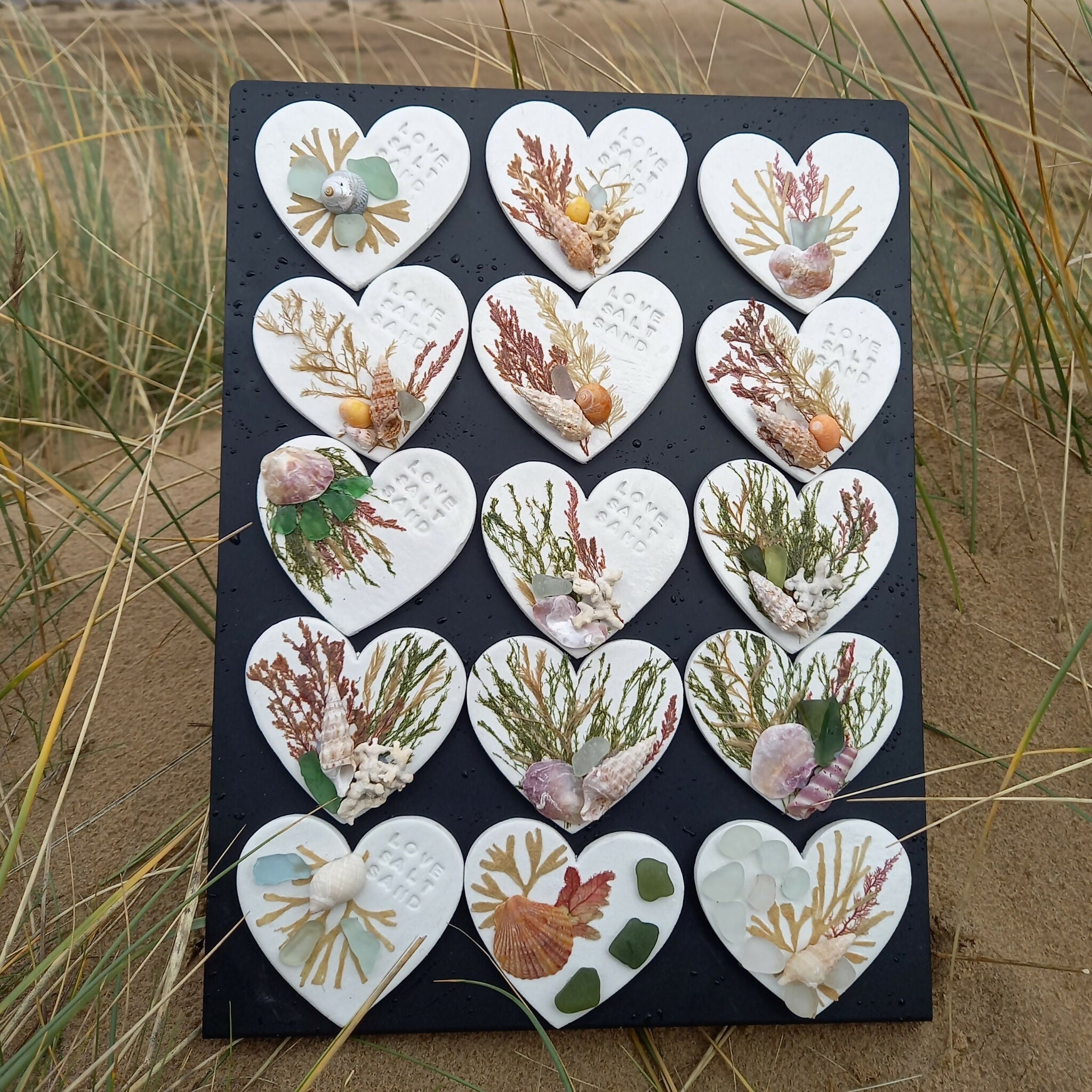 Real Pressed Seaweed Art Fridge Magnet