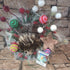 Merry