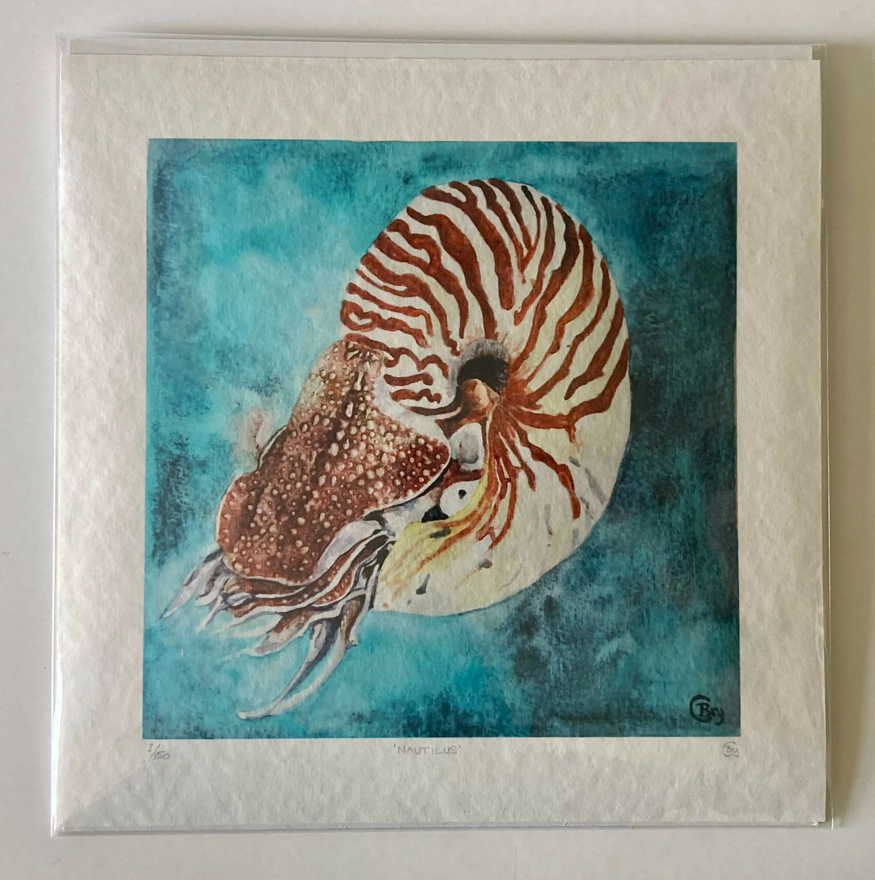 Nautilus - Print
