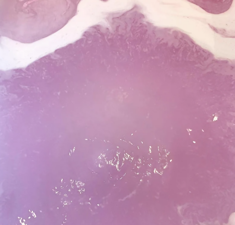 Dream Luxury Aromatherapy Bath Bomb