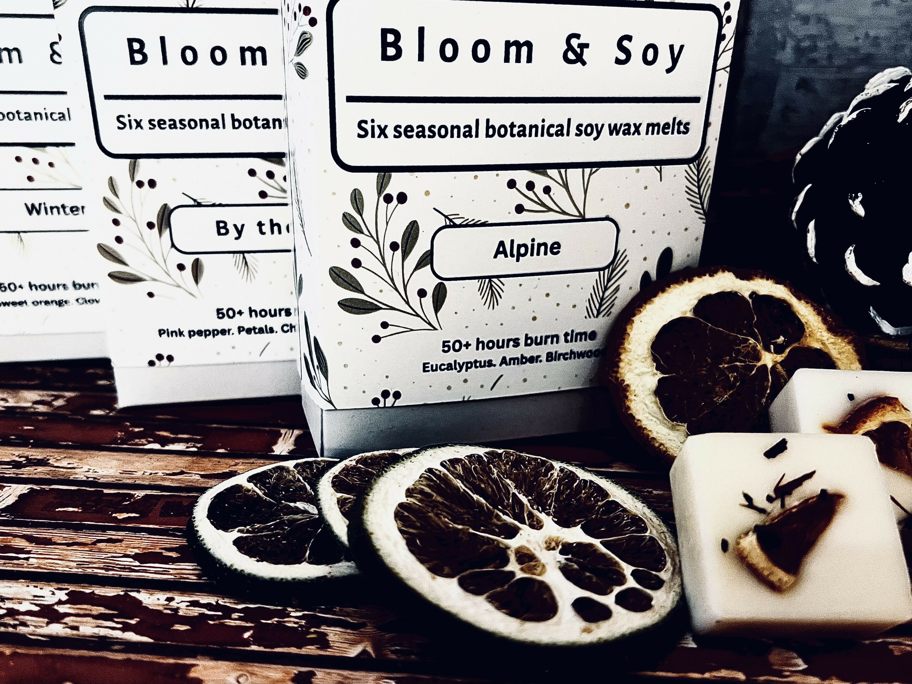 SIX BOTANICAL SOY WAX MELTS IN GIFT BOX