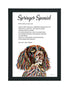 Springer Spaniel - Definition Quote - Framed Artwork.