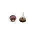 Scallop Shell Necklace and Stud Earrings Set