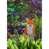 Big and Glossy Follow the Fox A5 Greeting Card