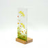 Dill Med Plinth