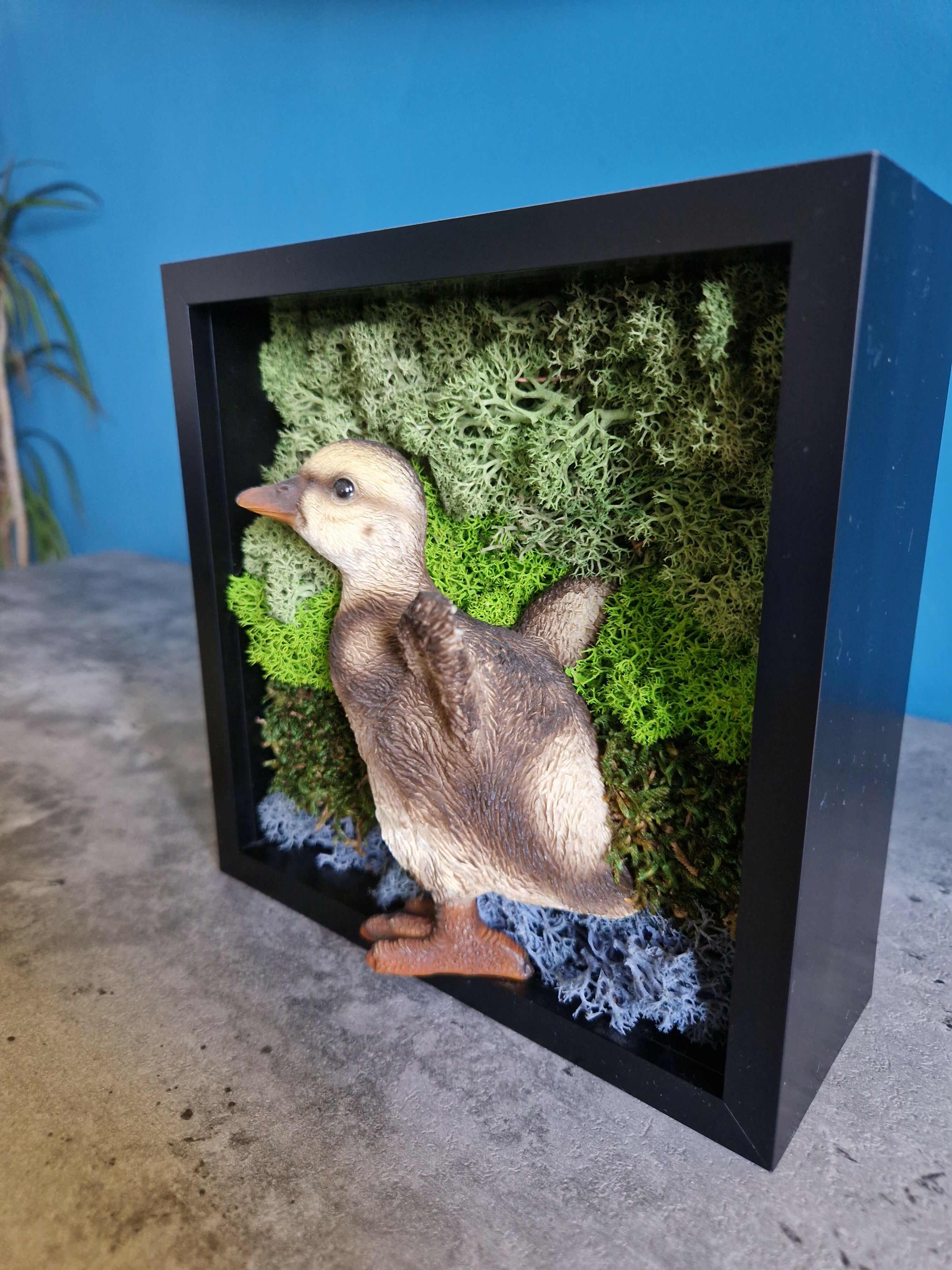 Young Duckling