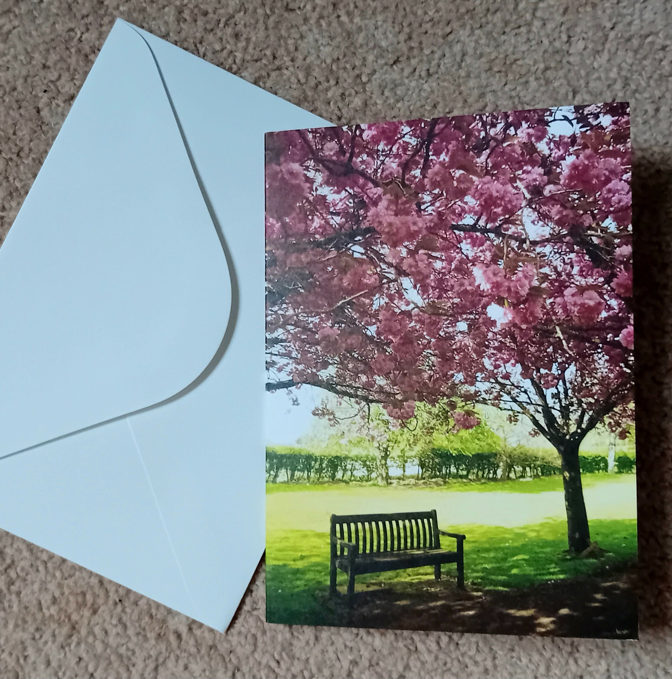 Bench In The Blossom (card)